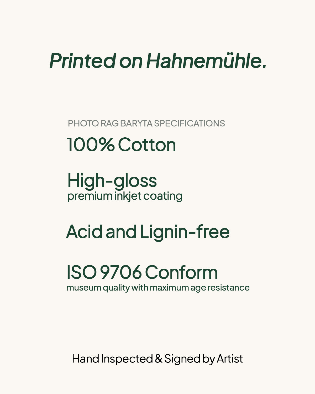 Where Sun and Green Meet | Limited Edition Fine Art Print