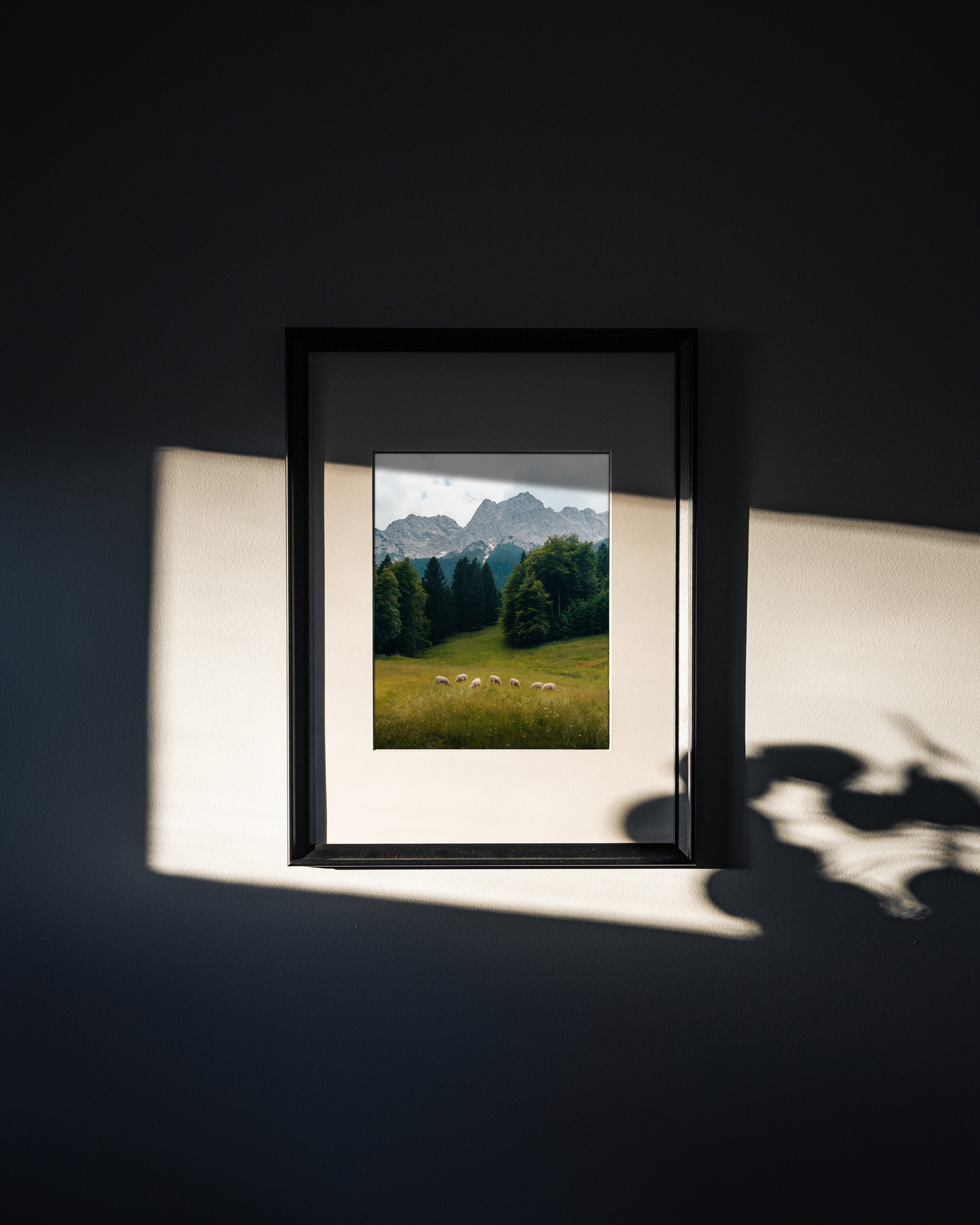 Alpine Grazing | Limited Edition Fine Art Print