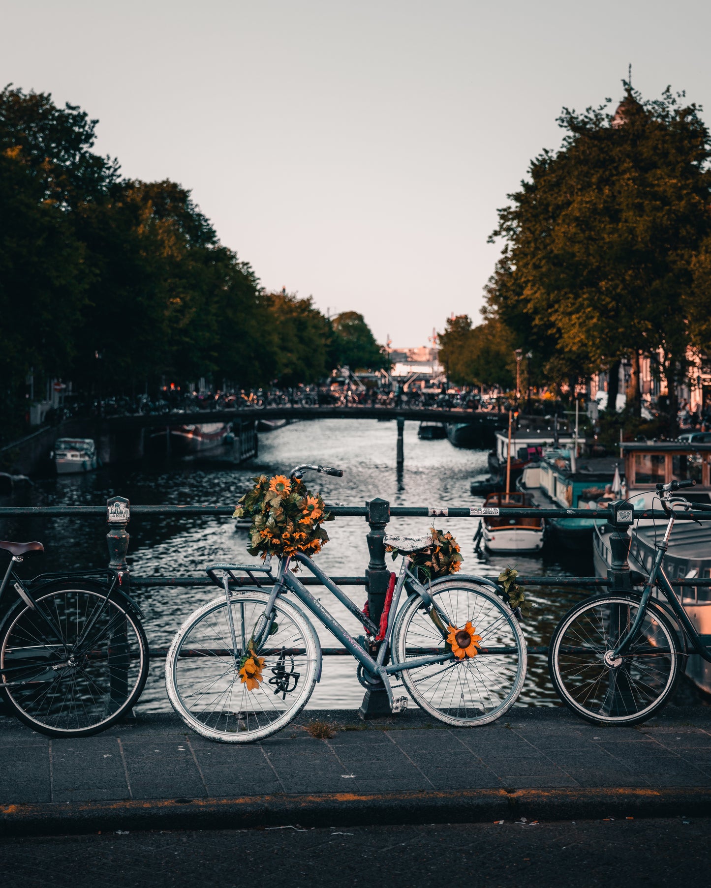 Pedals and Canals — Amsterdam | Limited Edition Fine Art Print