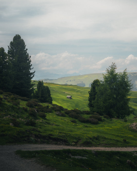 Hidden Greens of Seiser Alm