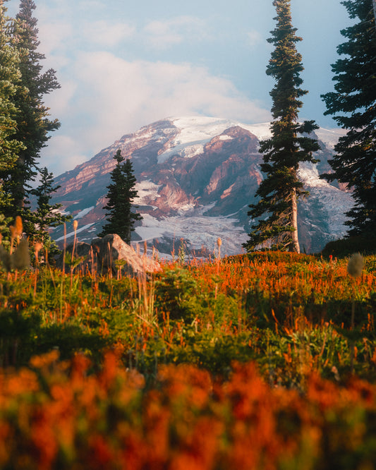 First Light on Mount Rainier | Limited Edition Fine Art Print