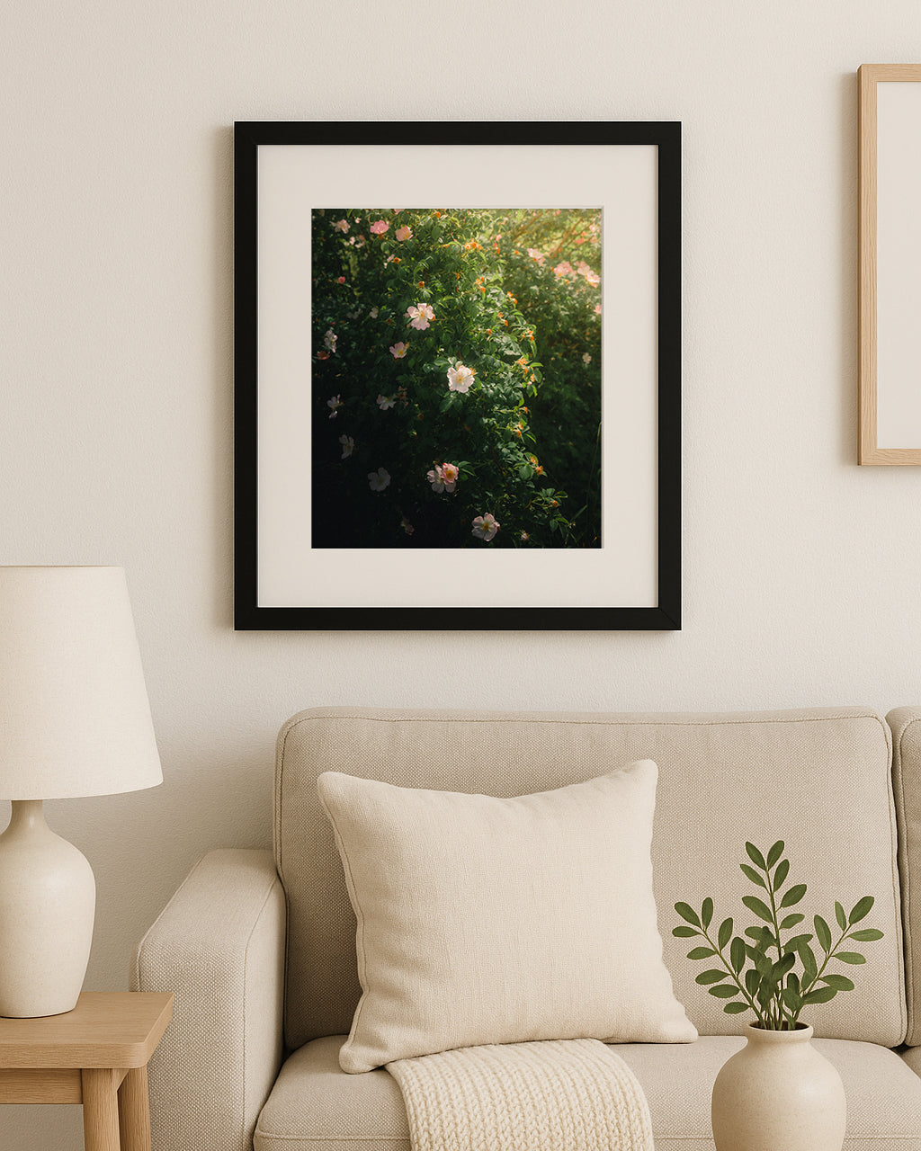 Where Sun and Green Meet | Limited Edition Fine Art Print